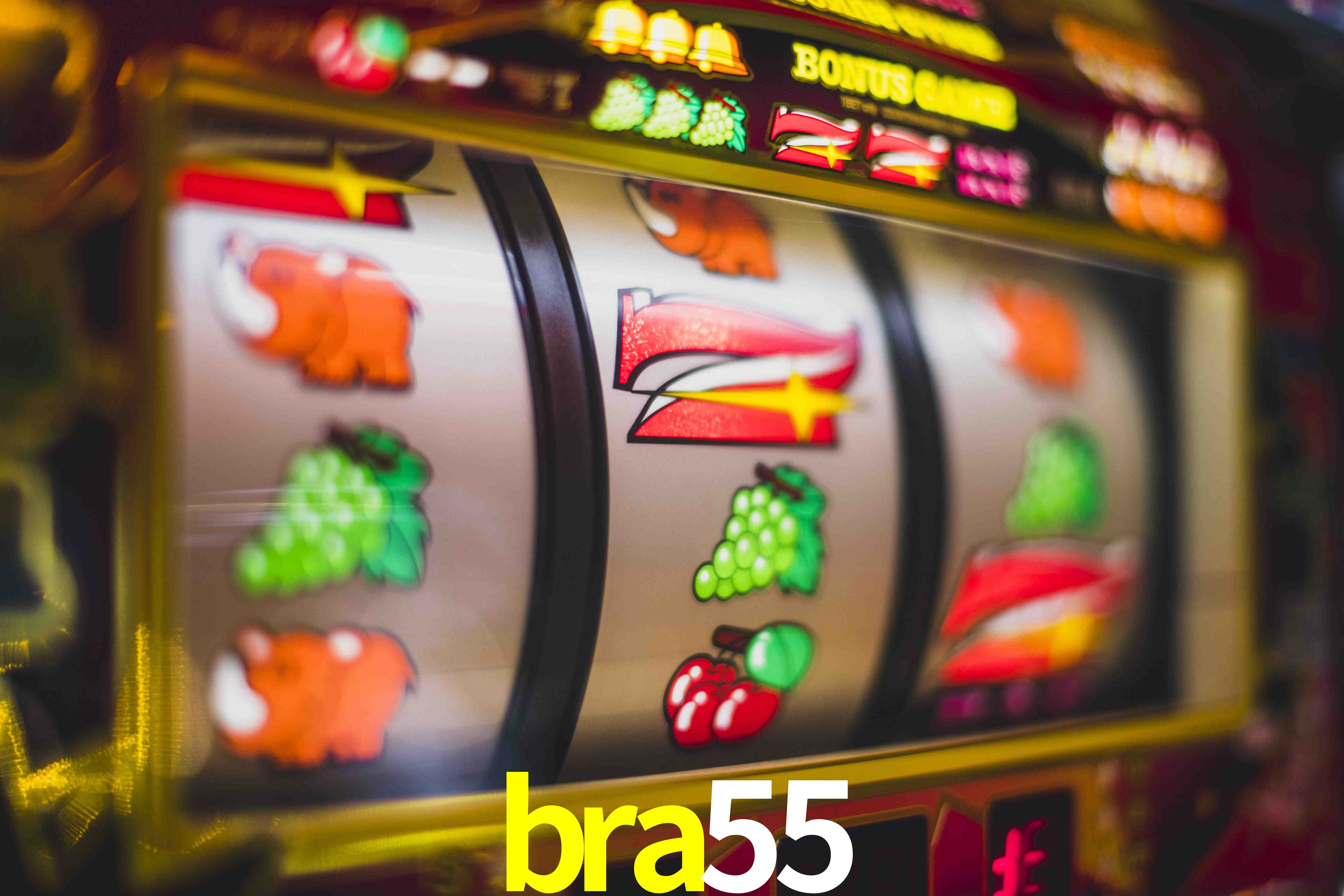 Statistics bra55